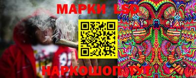 молекула духа Кингисепп
