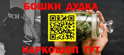 молекула духа Кингисепп