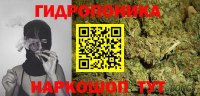 крисы Кинель