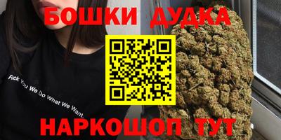 крисы Кинель