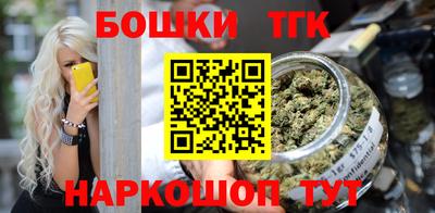 молекула духа Кингисепп