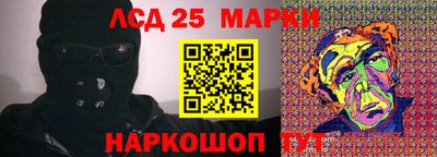 молекула духа Кингисепп