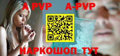 молекула духа Кингисепп