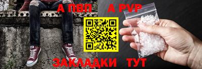 молекула духа Кингисепп