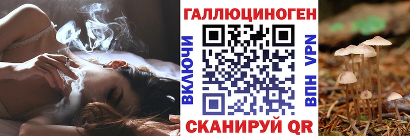 Псилоцибиновые грибы Psilocybine cubensis  Юрга 