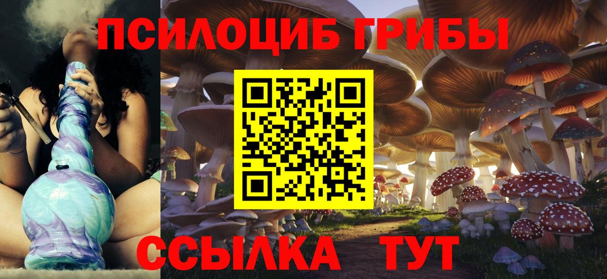 Галлюциногенные грибы Psilocybine cubensis Юрга