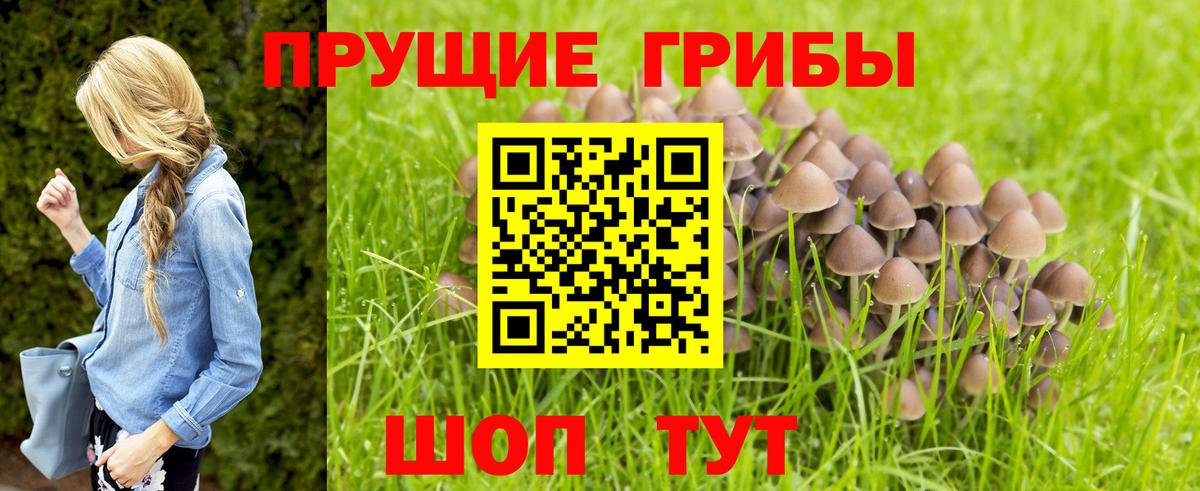 Псилоцибиновые грибы мицелий  Вход с VPN  Псилоцибиновые грибы мицелий  Юрга 